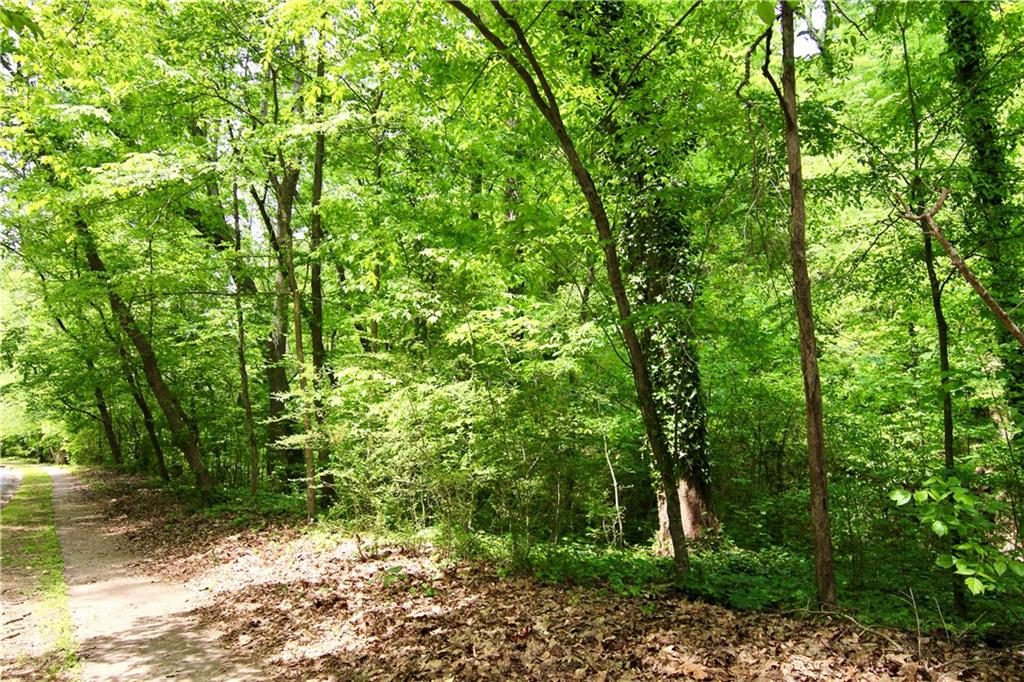 6380 River Chase Circle Northwest Sandy Springs, GA 30328 - Photo 5 of 25 a backyard of a house with lots of green space
