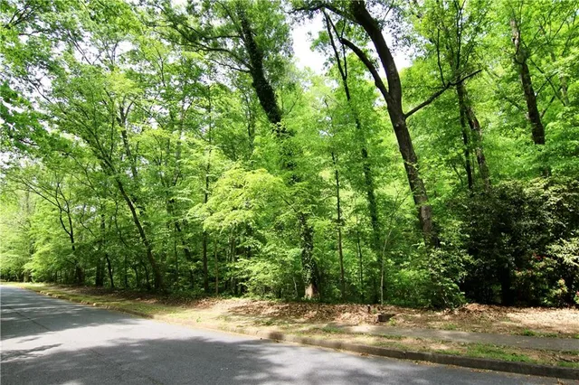 a view of backyard with large trees