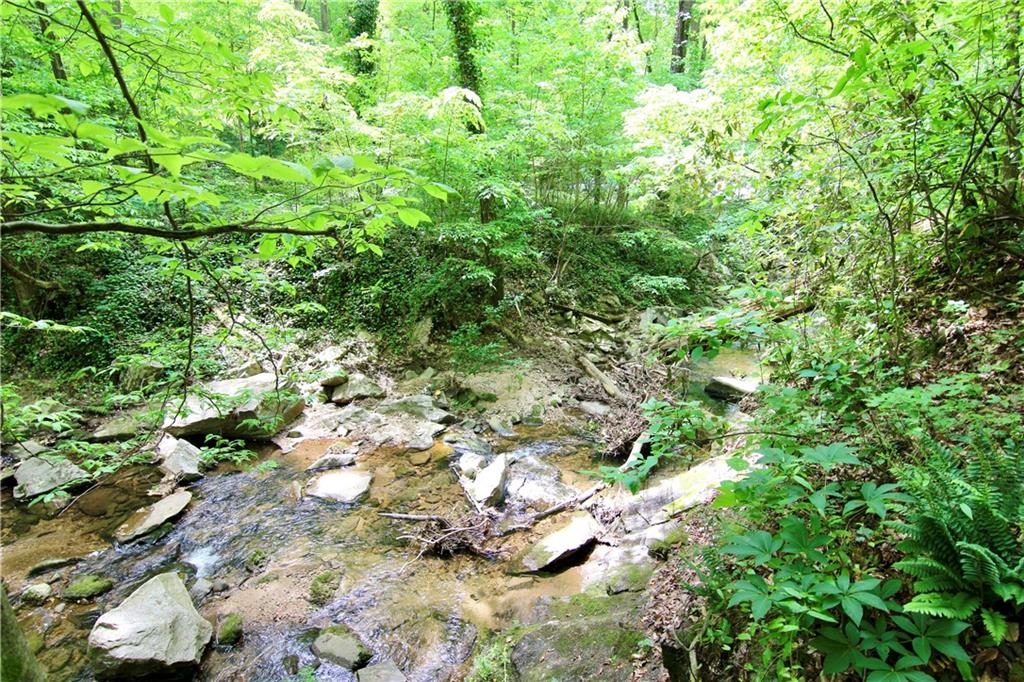 6380 River Chase Circle Northwest Sandy Springs, GA 30328 - Photo 8 of 25 a view of a forest with a tree