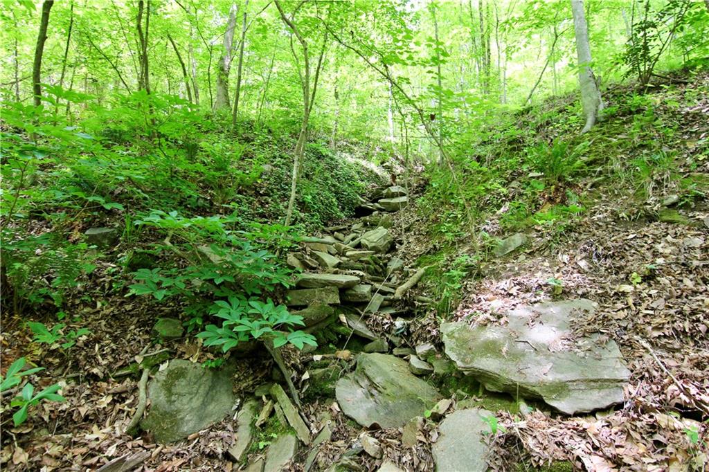 6380 River Chase Circle Northwest Sandy Springs, GA 30328 - Photo 9 of 25 a view of a forest