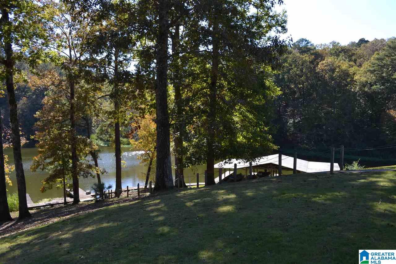 0 Dan Ridge Road Oakman, AL 35579 - Photo 24 of 36 Gallery Image 24
