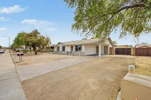 a view of a white house with a large tree and plants