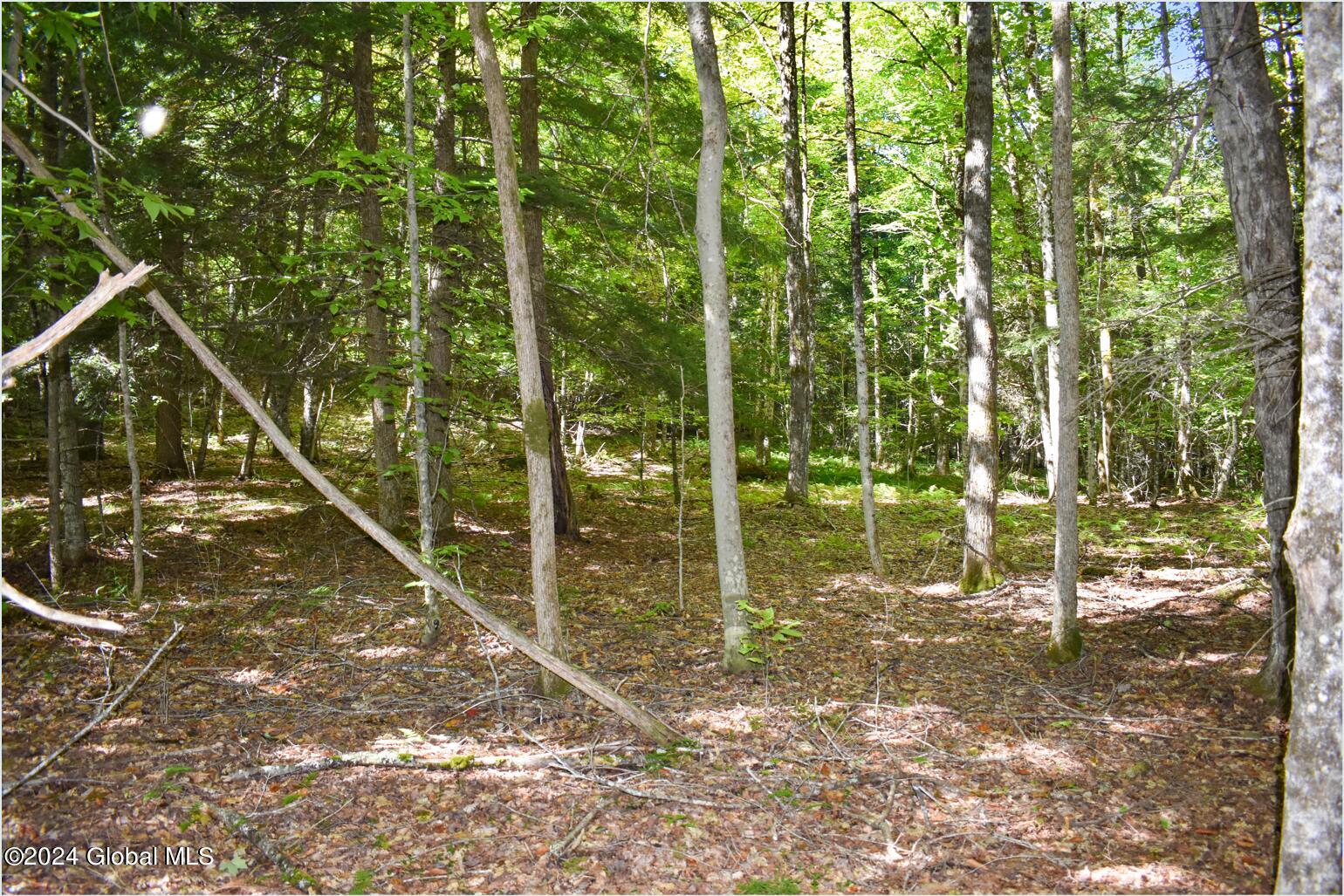 86 Carriage Knoll Road Chestertown, NY 12817 - Photo 11 of 22 86b