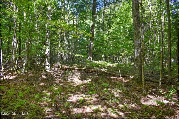 $68,900 | 86 Carriage Knoll Road, Chestertown, NY 12817