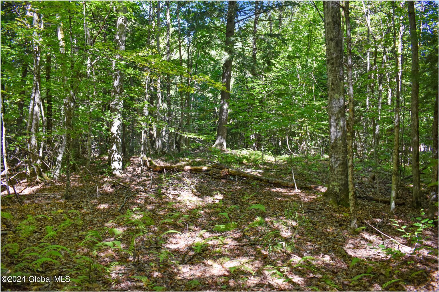 86 Carriage Knoll Road Chestertown, NY 12817 - Photo 12 of 22 86c