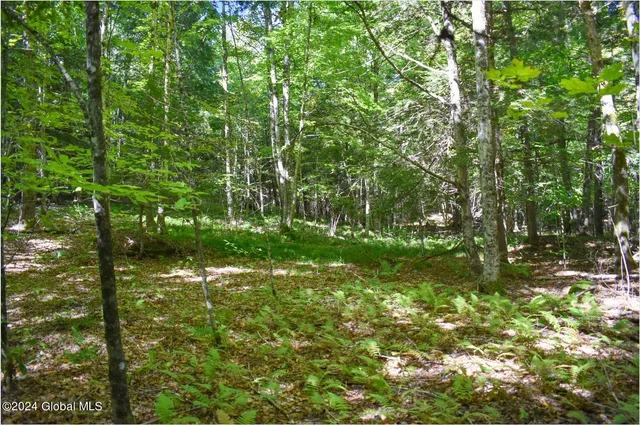 $68,900 | 86 Carriage Knoll Road, Chestertown, NY 12817