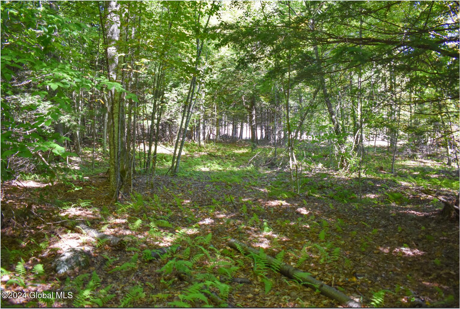 86 Carriage Knoll Road Chestertown, NY 12817 - Photo 14 of 22 86f