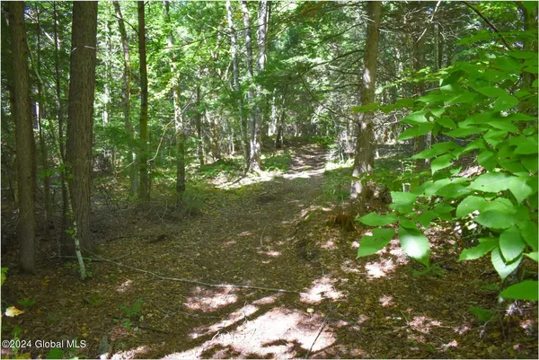 $68,900 | 86 Carriage Knoll Road, Chestertown, NY 12817