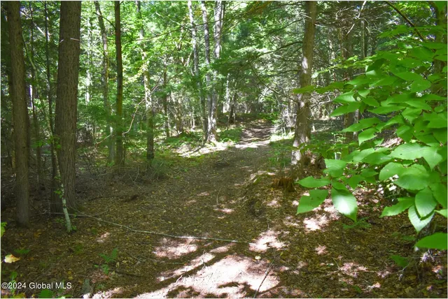 $68,900 | 86 Carriage Knoll Road, Chestertown, NY 12817