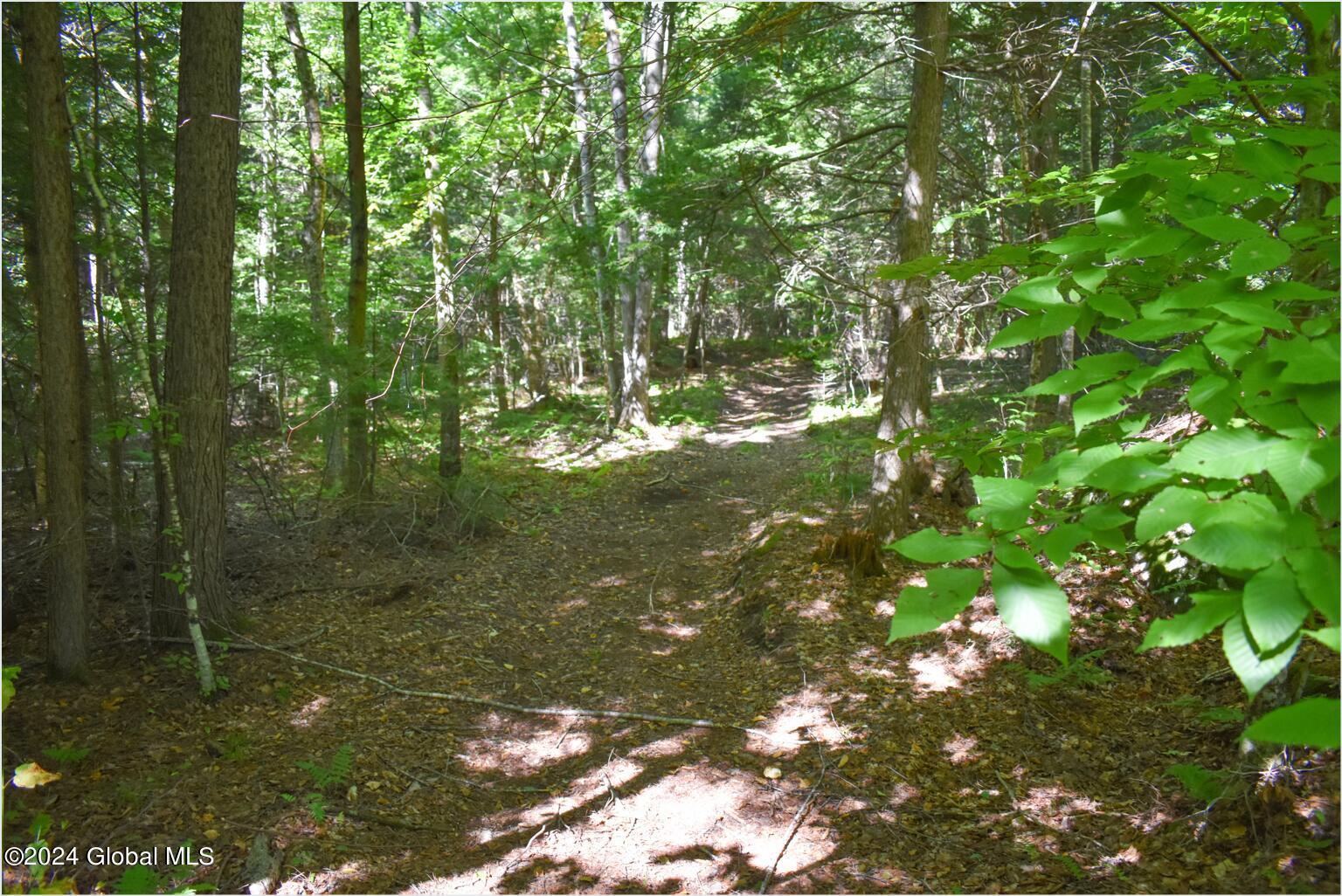 86 Carriage Knoll Road Chestertown, NY 12817 - Photo 15 of 22 86g