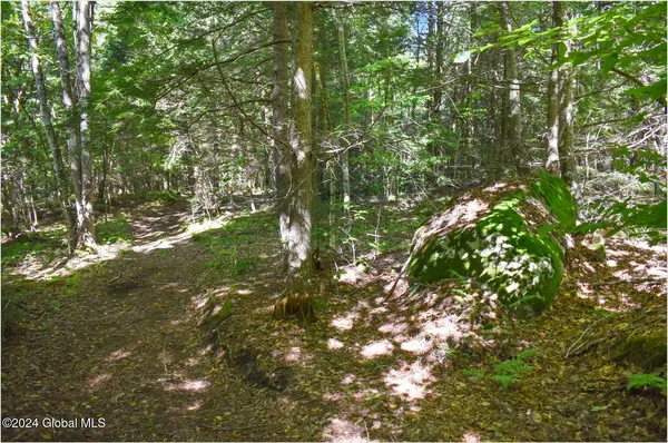 $68,900 | 86 Carriage Knoll Road, Chestertown, NY 12817