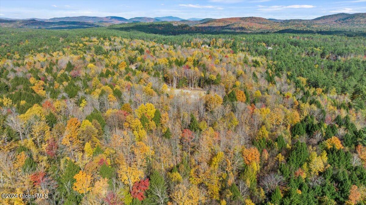 86 Carriage Knoll Road Chestertown, NY 12817 - Photo 21 of 22 18-DJI_0273
