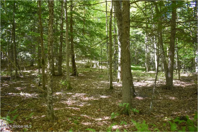 $68,900 | 86 Carriage Knoll Road, Chestertown, NY 12817