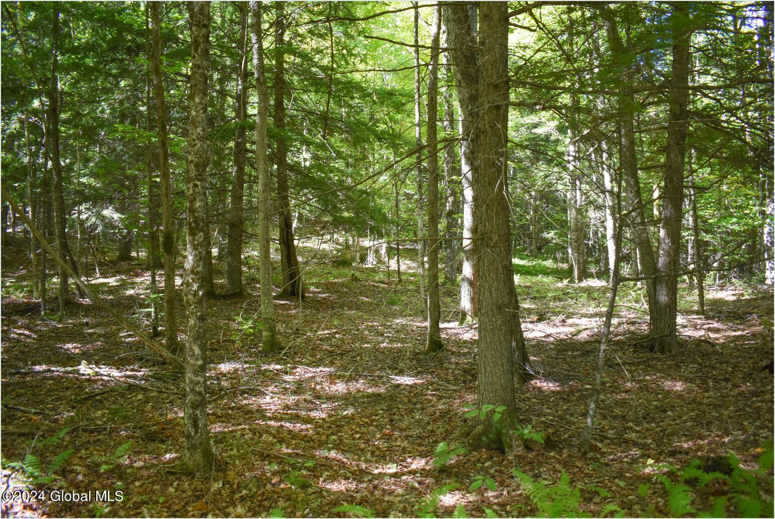 86 Carriage Knoll Road Chestertown, NY 12817 - Photo 7 of 22 86a