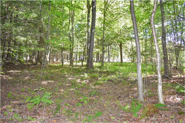 $68,900 | 86 Carriage Knoll Road, Chestertown, NY 12817