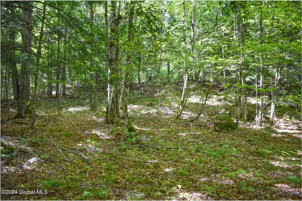 $68,900 | 86 Carriage Knoll Road, Chestertown, NY 12817