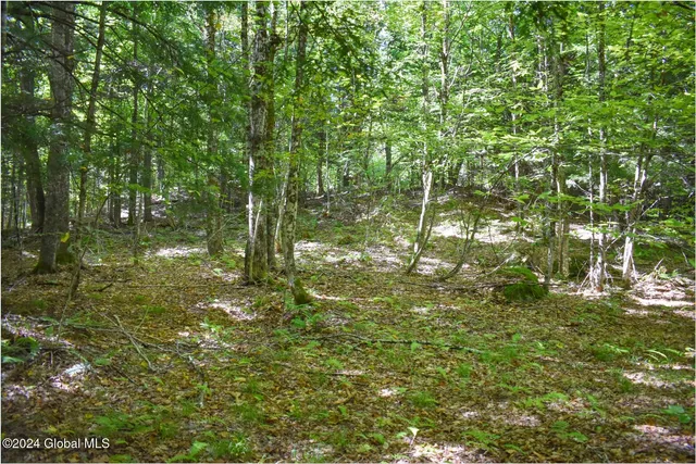 $68,900 | 86 Carriage Knoll Road, Chestertown, NY 12817