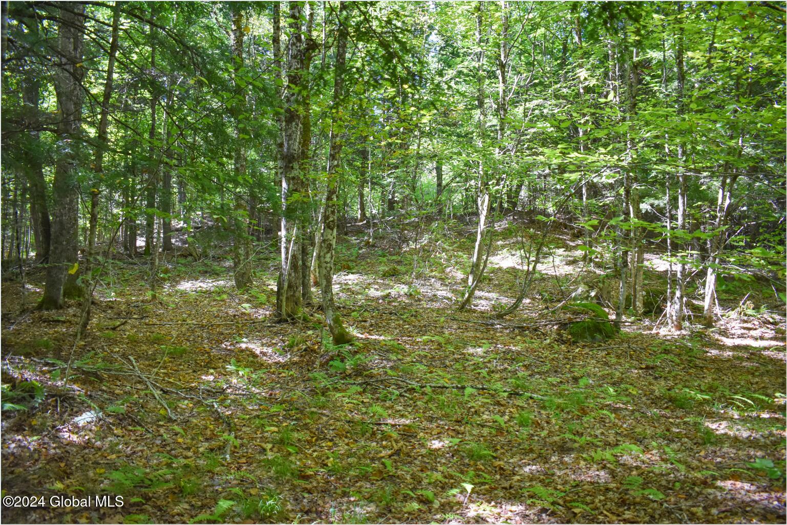 86 Carriage Knoll Road Chestertown, NY 12817 - Photo 9 of 22 86d