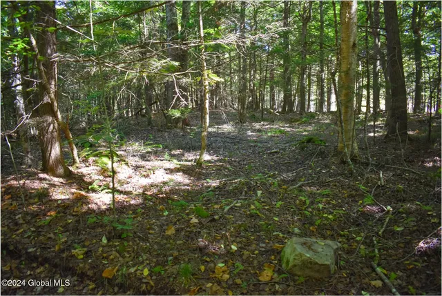 $68,900 | 86 Carriage Knoll Road, Chestertown, NY 12817