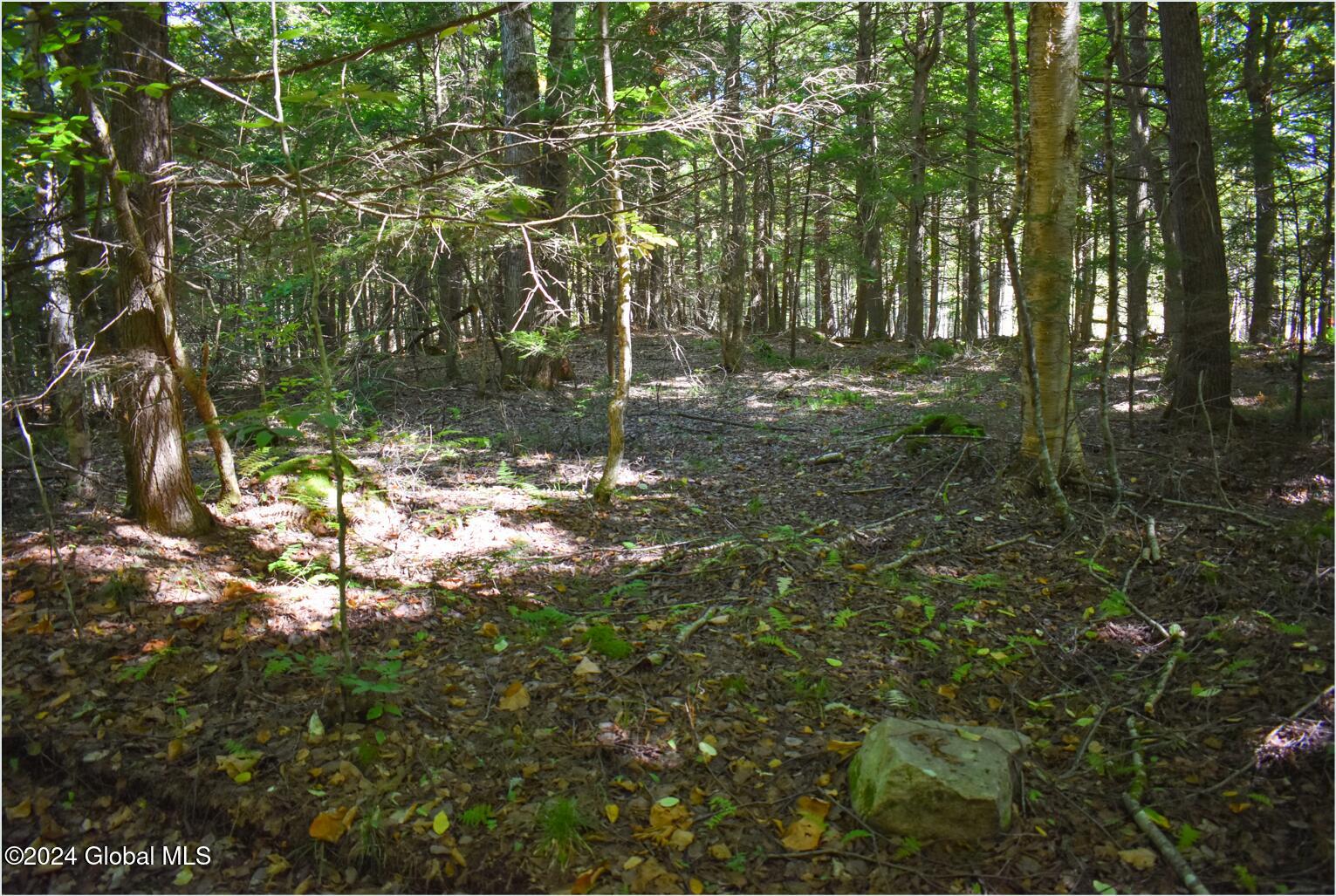 86 Carriage Knoll Road Chestertown, NY 12817 - Photo 10 of 22 86j