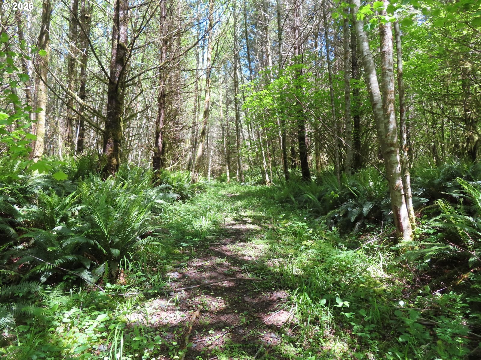 Hockett Road Onalaska, WA 98570 - Photo 21 of 29