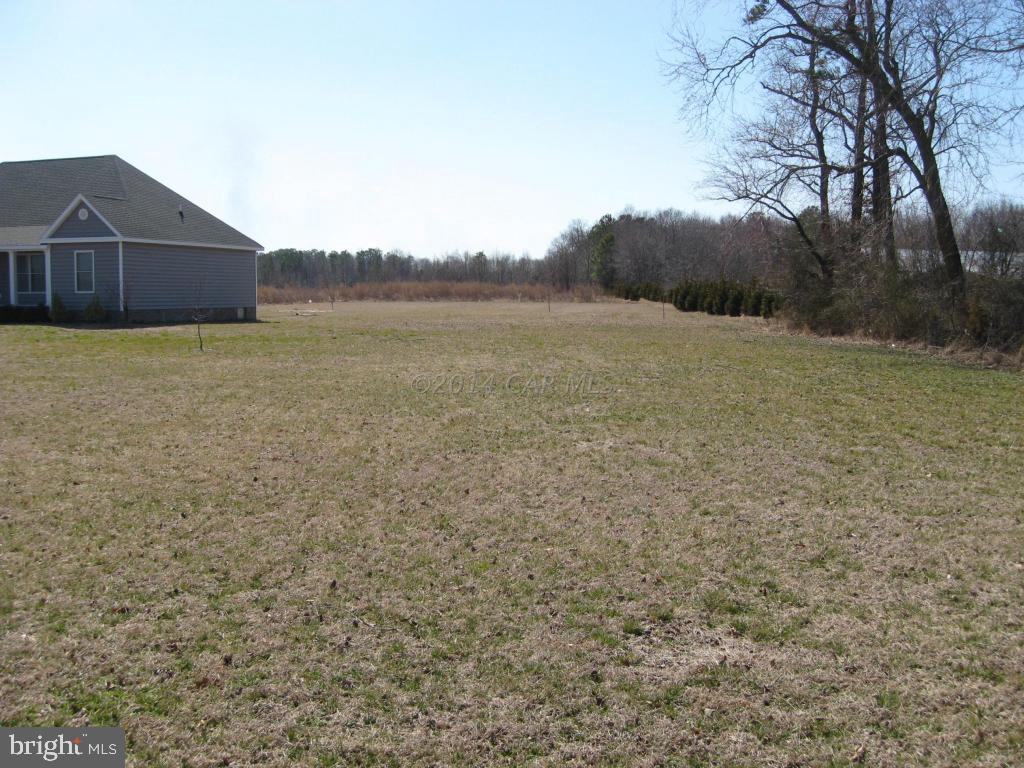 4796 Campground Road Salisbury, MD 21801 - Photo 3 of 17 Gallery Image 3