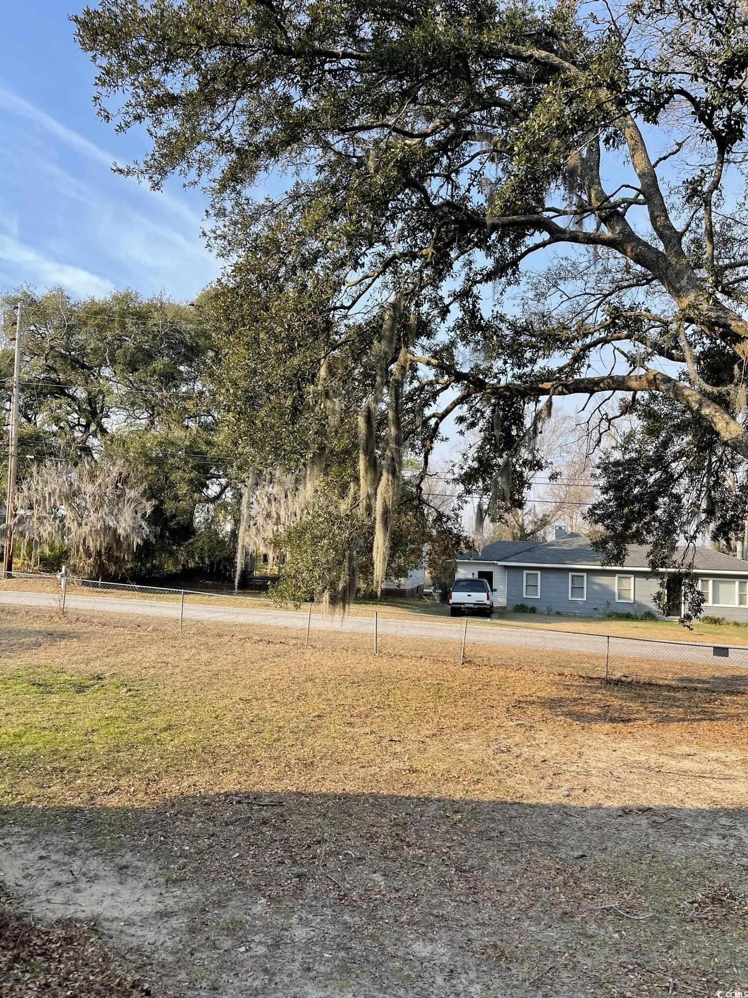 1353 Moss Street Georgetown, SC 29440 - Photo 5 of 32 View of yard