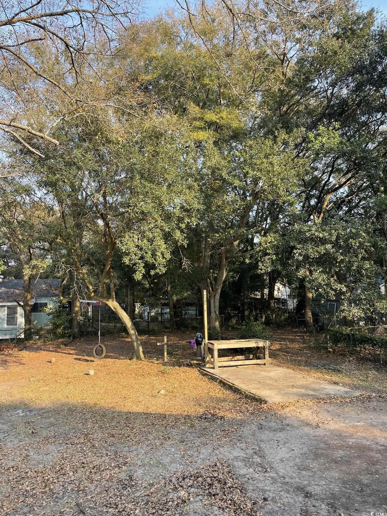 1353 Moss Street Georgetown, SC 29440 - Photo 7 of 32 View of yard