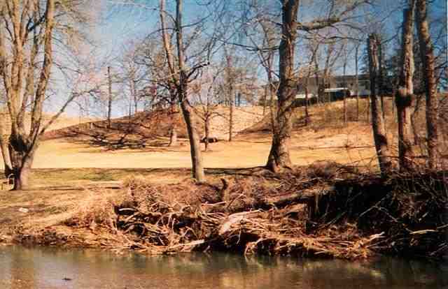 27867 Broadway Road Morton, IL 61550 - Photo 3 of 6