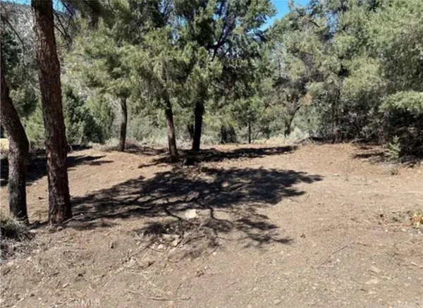a view of a dirt road with trees