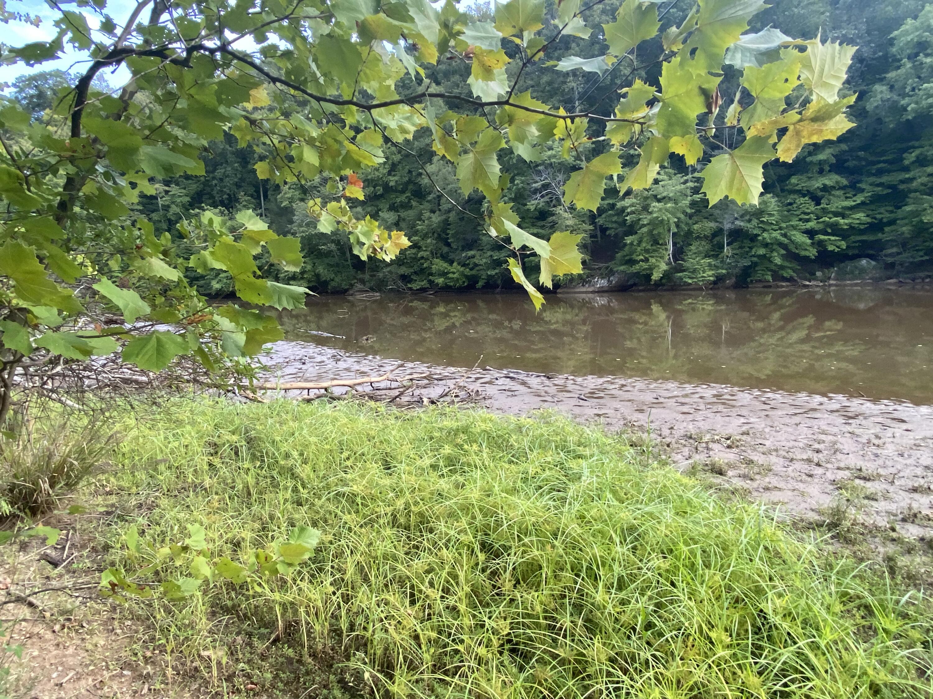 Lot 3 Cedar Bluff Lane Hardy, VA 24101 - Photo 2 of 15
