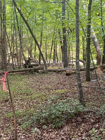 an aerial view of a yard