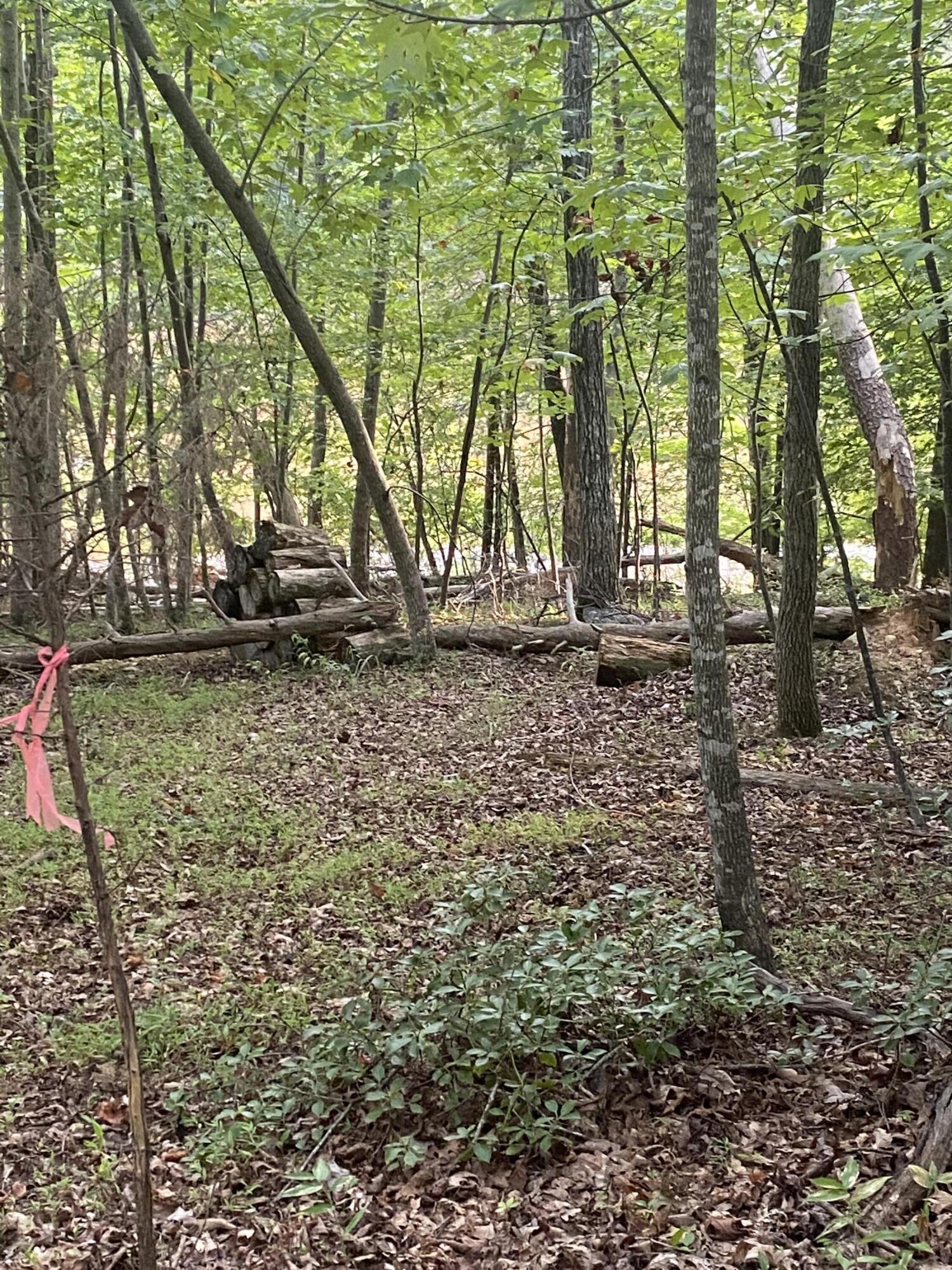 Lot 3 Cedar Bluff Lane Hardy, VA 24101 - Photo 5 of 15 a backyard of a house with lots of green space
