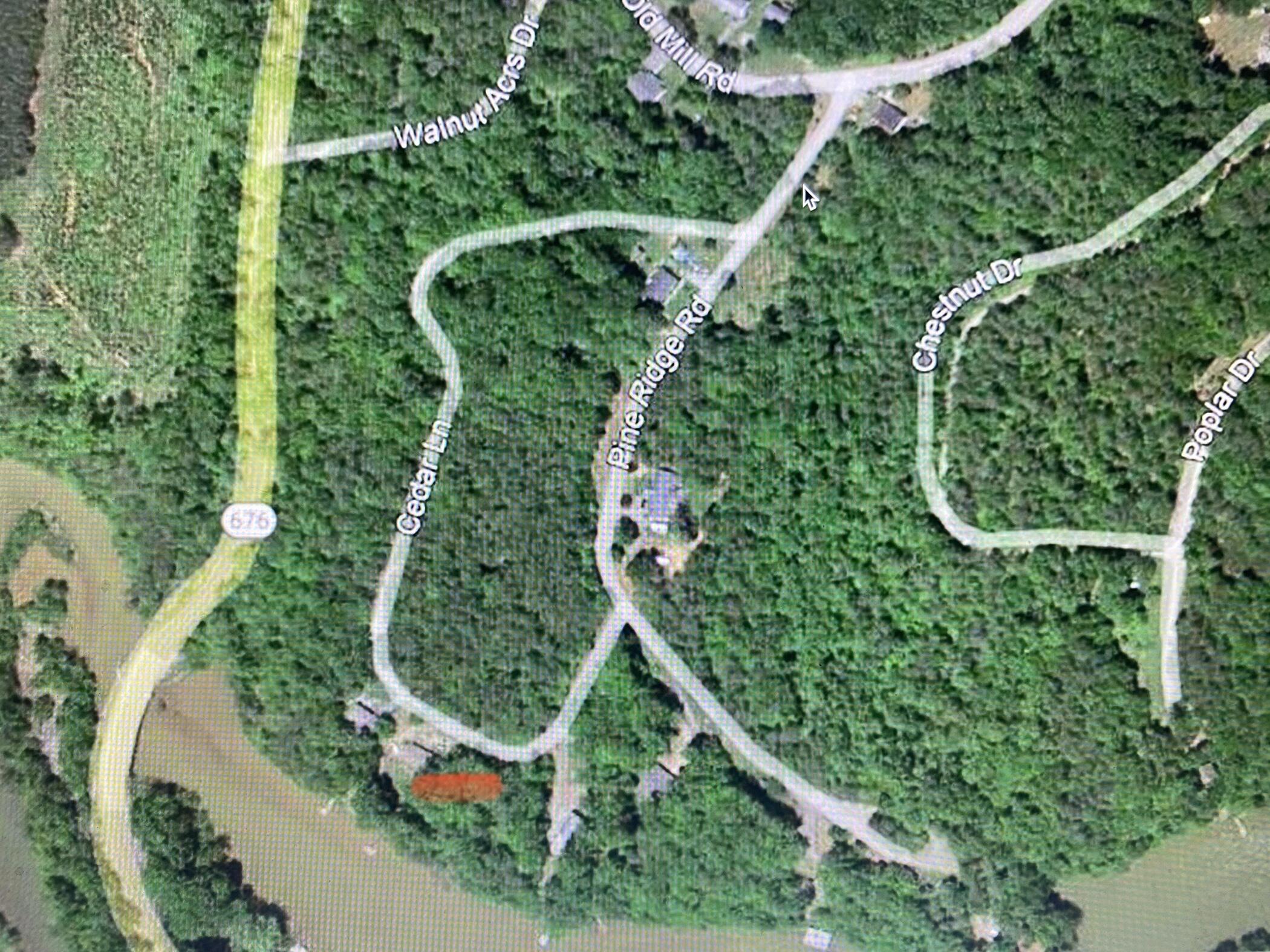 Lot 3 Cedar Bluff Lane Hardy, VA 24101 - Photo 6 of 15 an aerial view of a yard