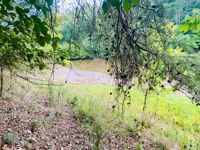 a backyard of a house