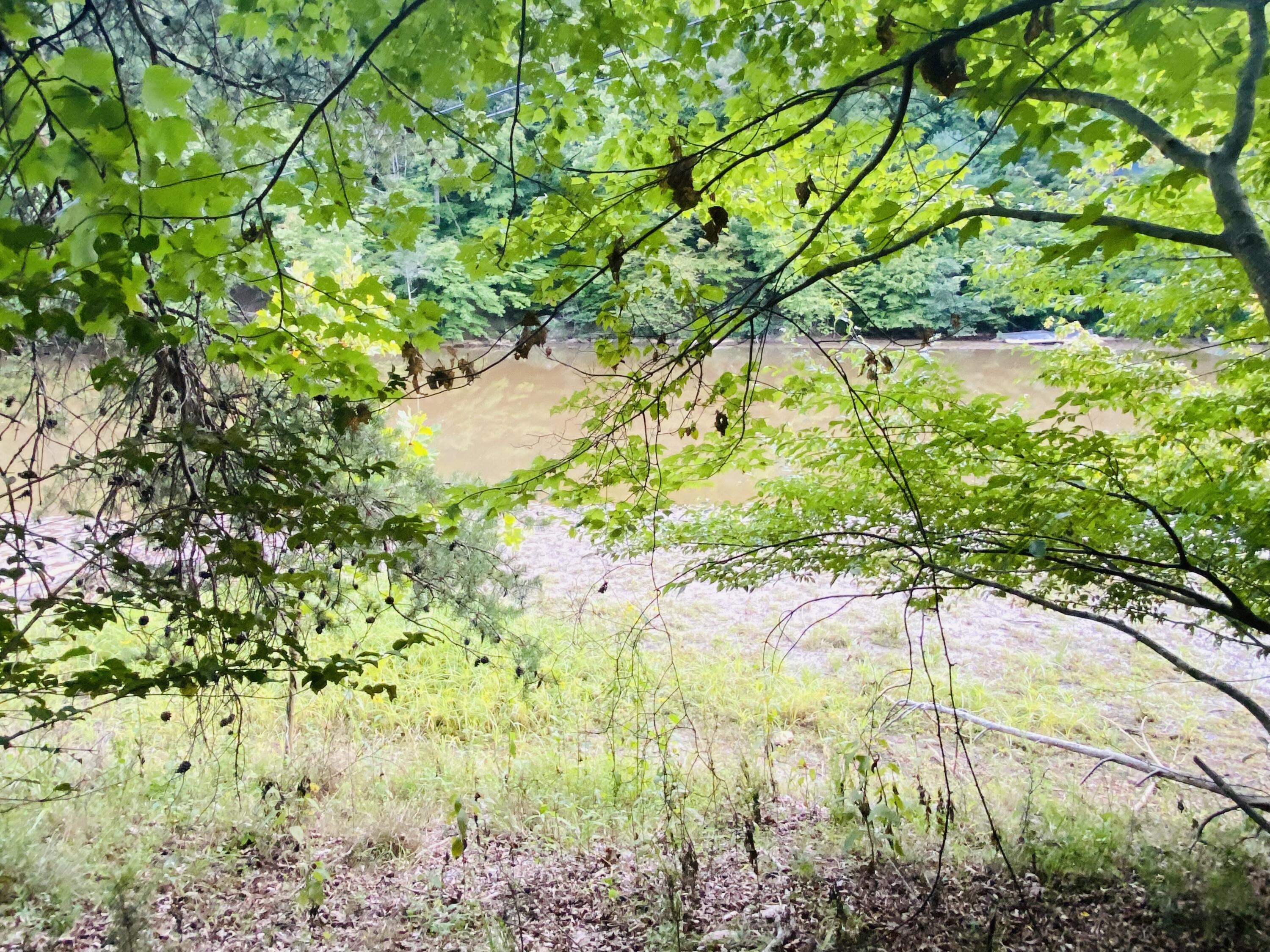 Lot 3 Cedar Bluff Lane Hardy, VA 24101 - Photo 10 of 15 a backyard of a house