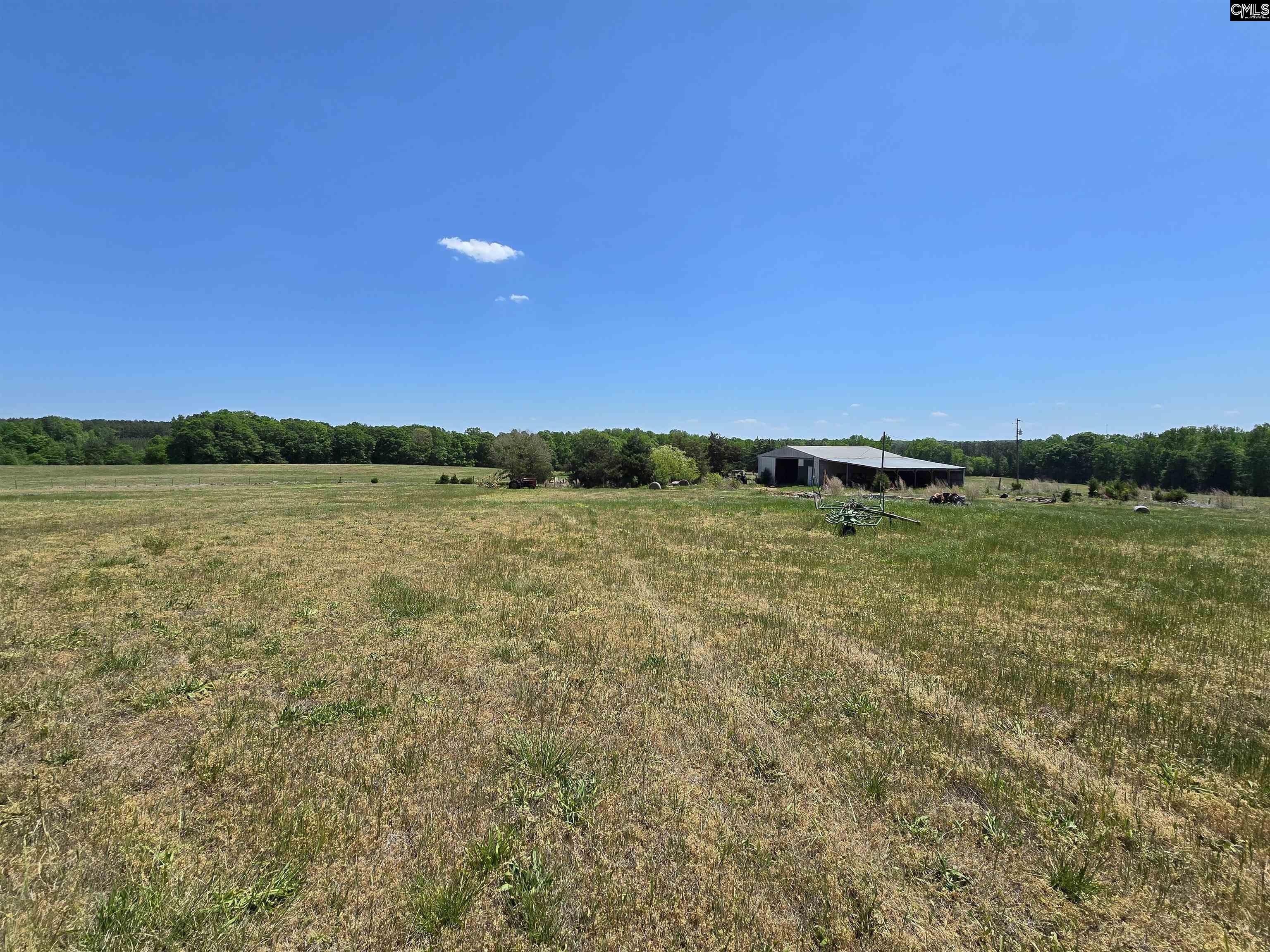 542 Pea Ridge Highway Jonesville, SC 29353 - Photo 26 of 72