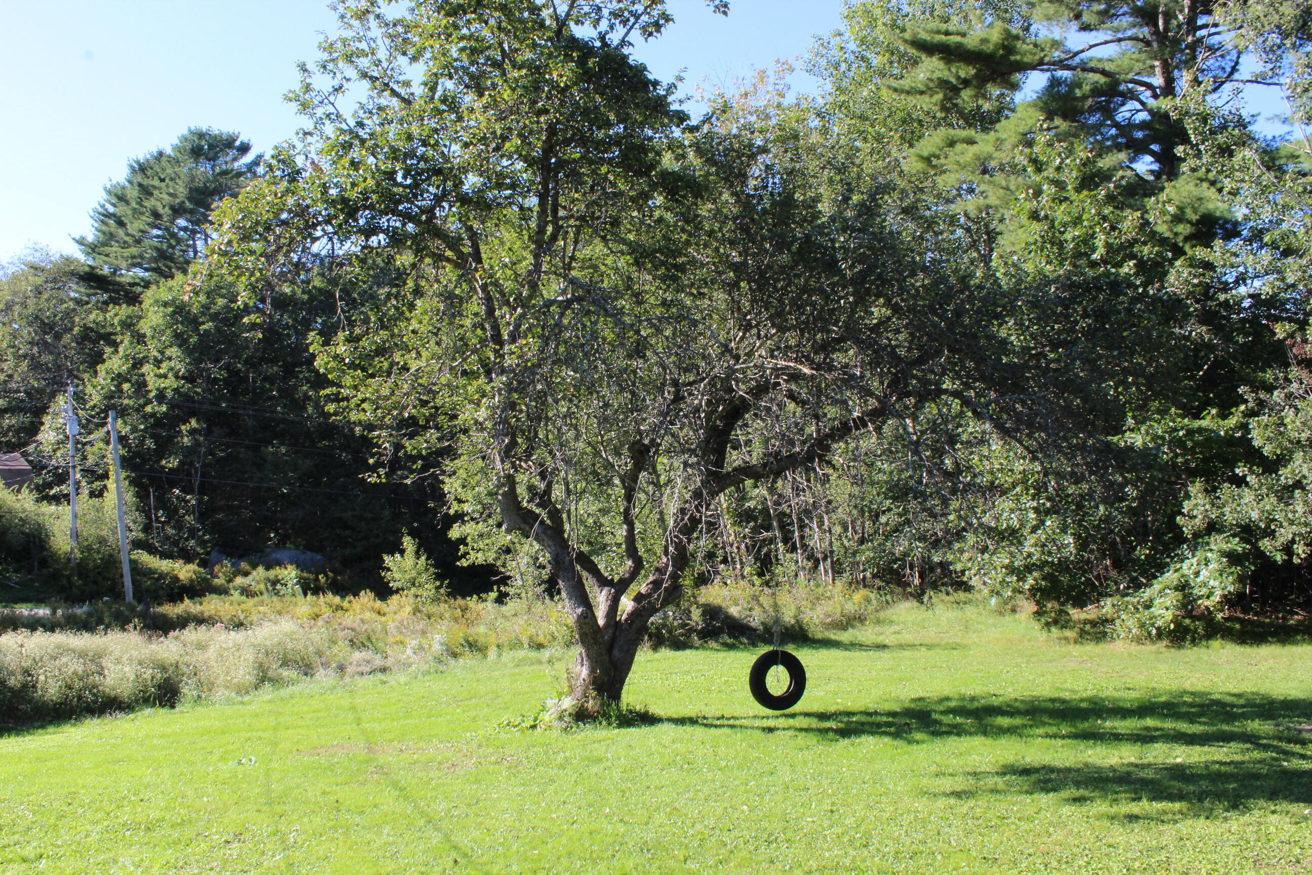 838 Castine Road Orland, ME 04472 - Photo 31 of 54 IMG_9442