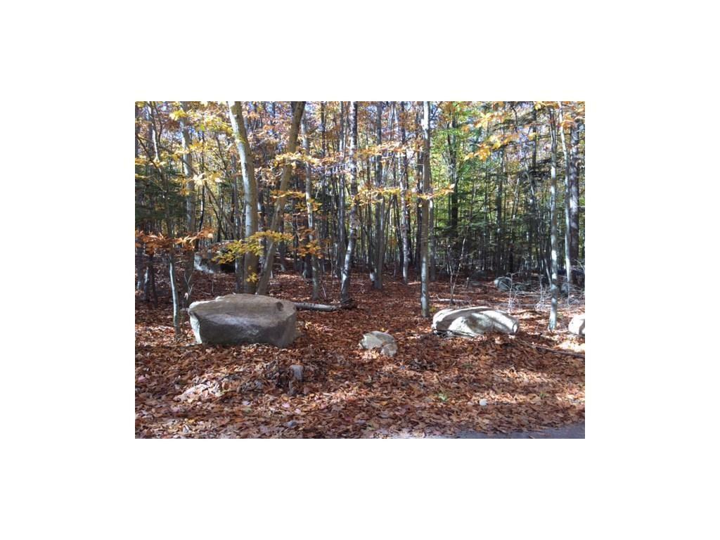 1810 Ridge Road Standish, ME 04084 - Photo 2 of 11 Front of Lot
