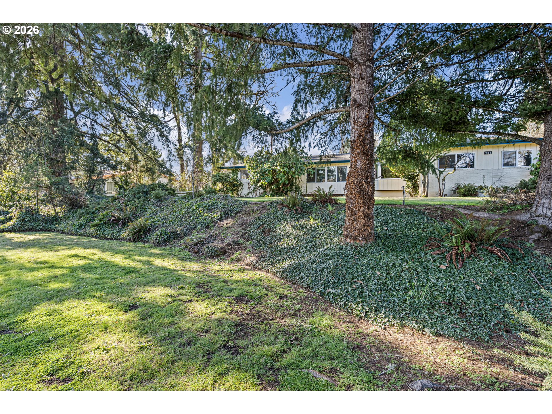 731 South River Road Cottage Grove, OR 97424 - Photo 4 of 48