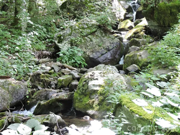 $699,500 | 103 Chucks Lane, Bakersville, NC 28705