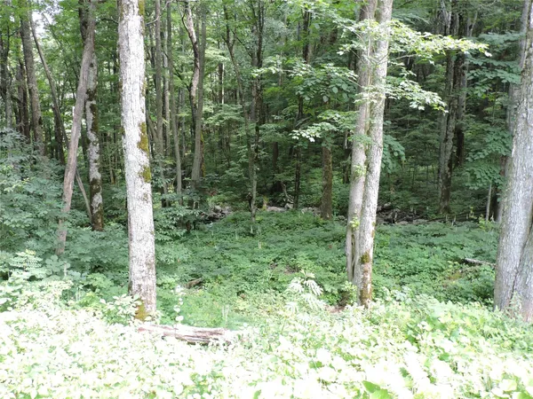 $699,500 | 103 Chucks Lane, Bakersville, NC 28705