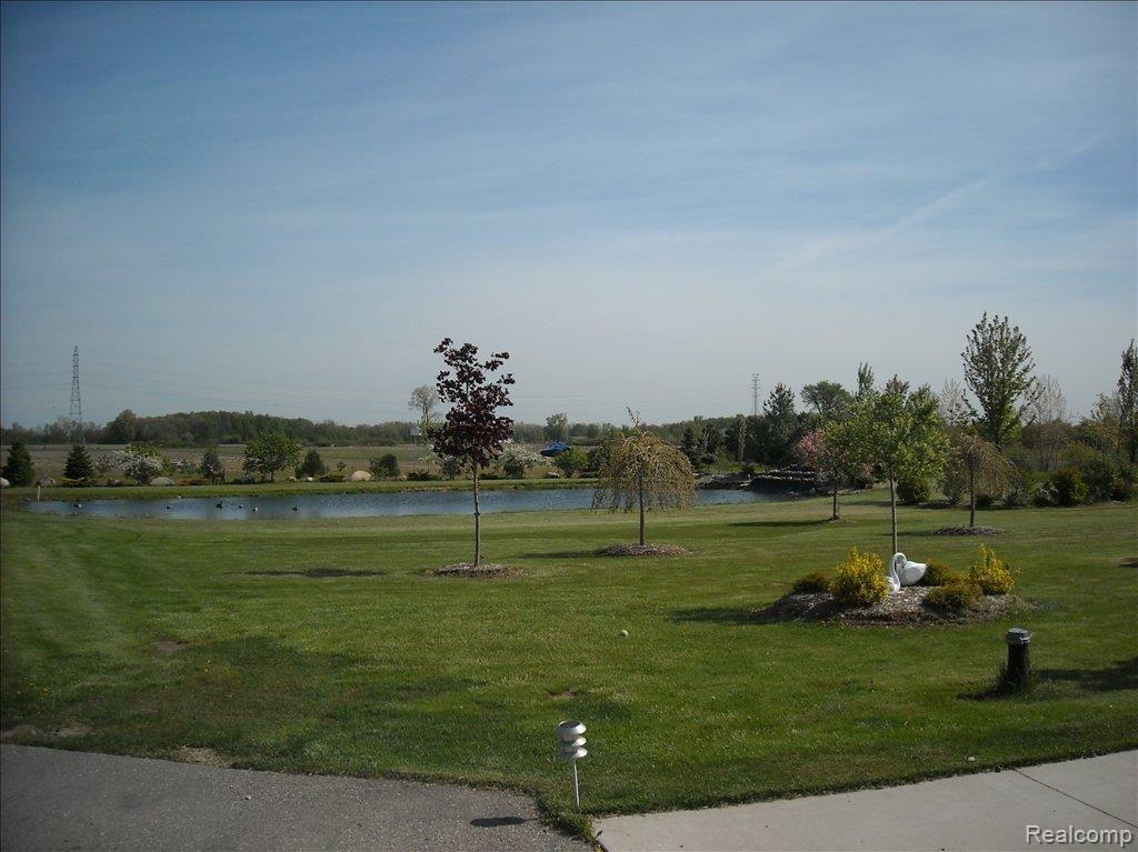 9944 Smiths Creek Road Goodells, MI 48027 - Photo 22 of 25 sc pond