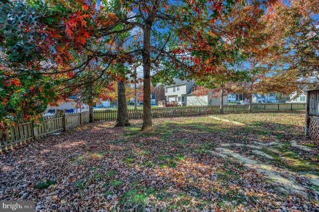 a view of house with backyard and tree