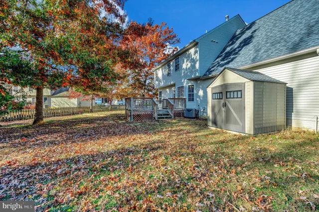 a view of a yard with plants and a large tree