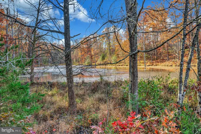 a view of a pathway with a yard