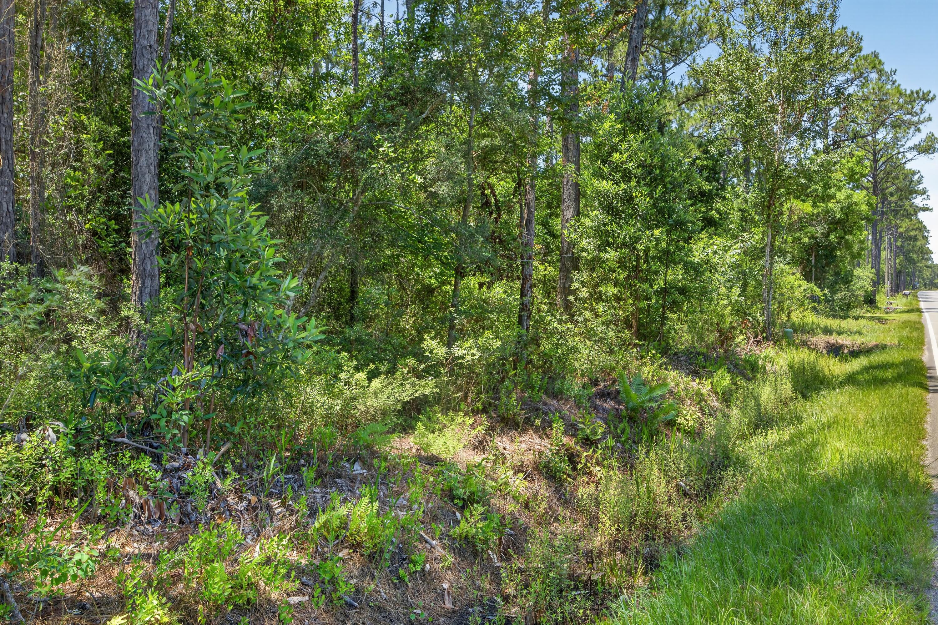 1.19-acres Mary Kitchens Road Milton, FL 32583 - Photo 6 of 10 Lot 6 MK 1