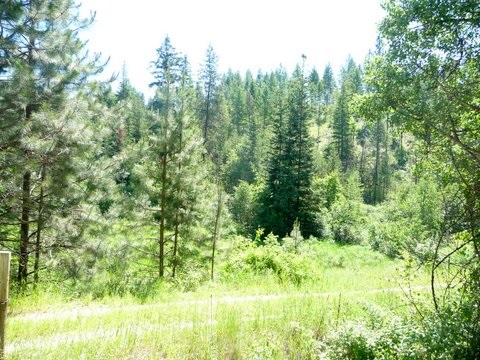 3232 Red Marble Road Chewelah, WA 99109 - Photo 2 of 10 Gallery Image 2