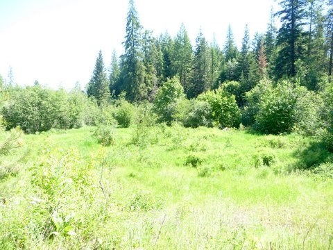 3232 Red Marble Road Chewelah, WA 99109 - Photo 6 of 10 Gallery Image 6