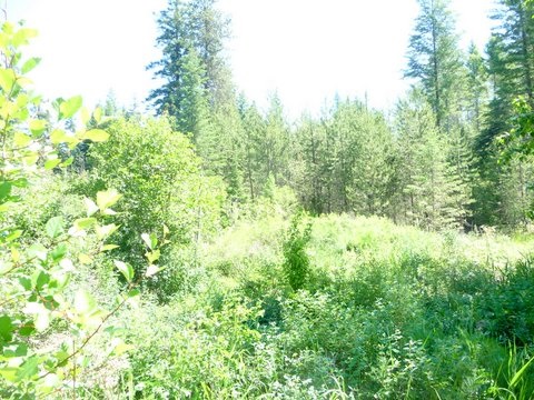 3232 Red Marble Road Chewelah, WA 99109 - Photo 7 of 10 Gallery Image 7